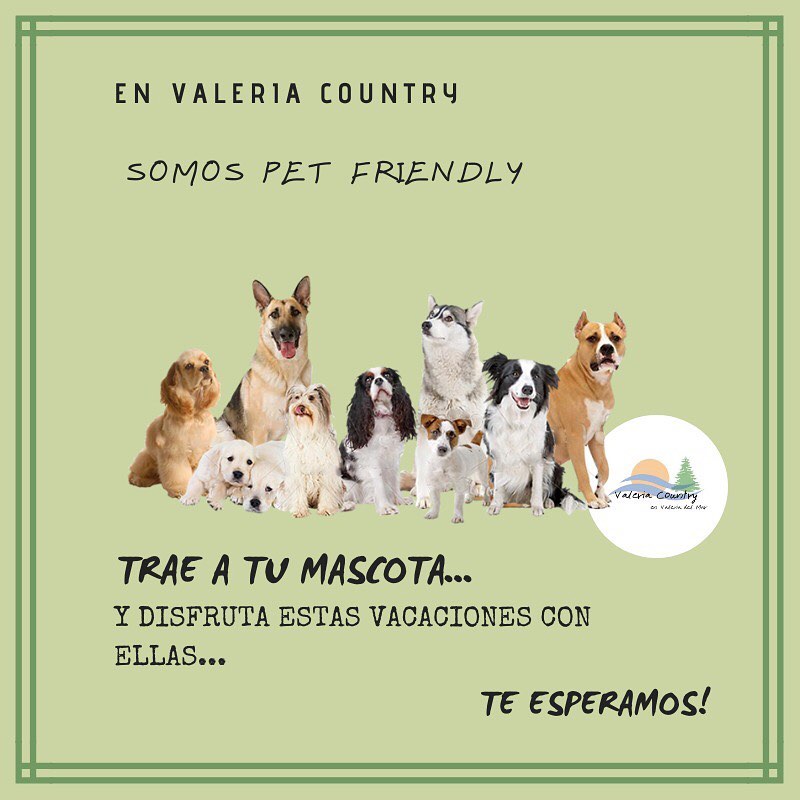 Valeria Country   Pet
